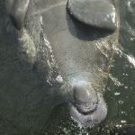 article image -